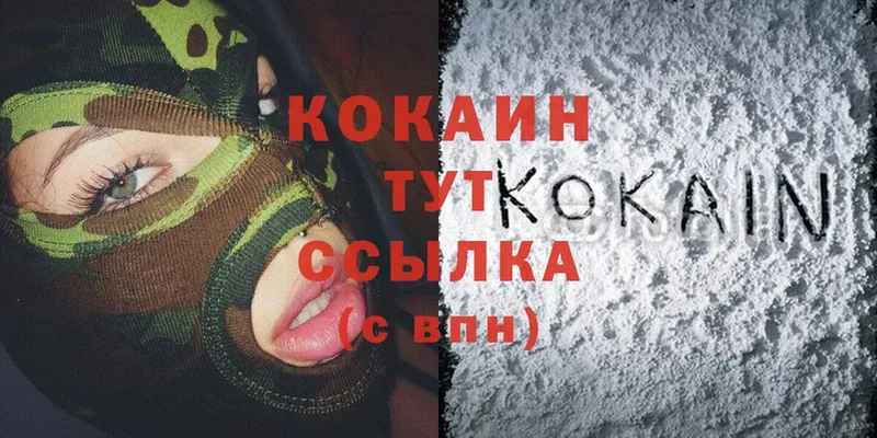 Кокаин Fish Scale  darknet состав  Верещагино  OMG вход 